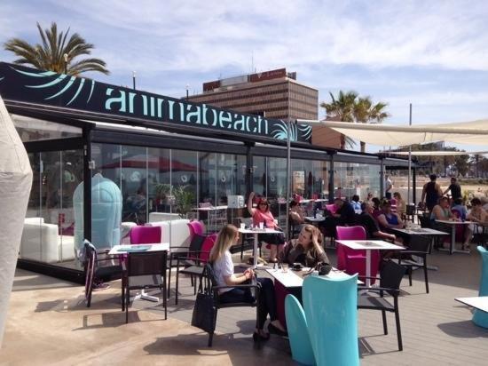 Pere Antoni Appartement Palma de Mallorca
